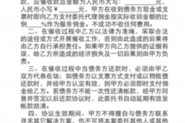 南平如何避免债务纠纷？专业追讨公司教您应对之策